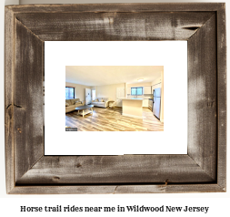 horse trail rides near me in Wildwood, New Jersey